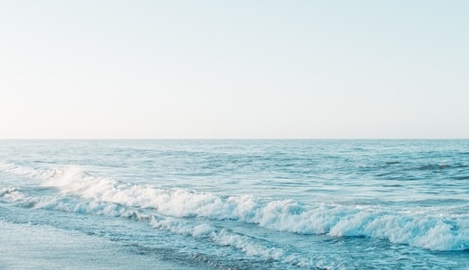 根明な子丑天中殺