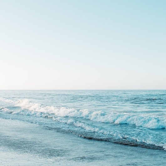 根明な子丑天中殺