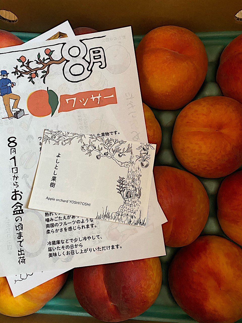 美味しい贈り物