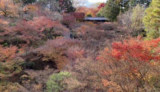 私にハッピーバースデー