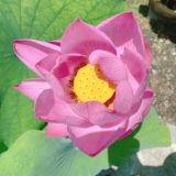 『もしも！の世界へ行ってみる』