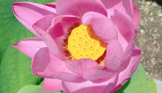 『もしも！の世界へ行ってみる』